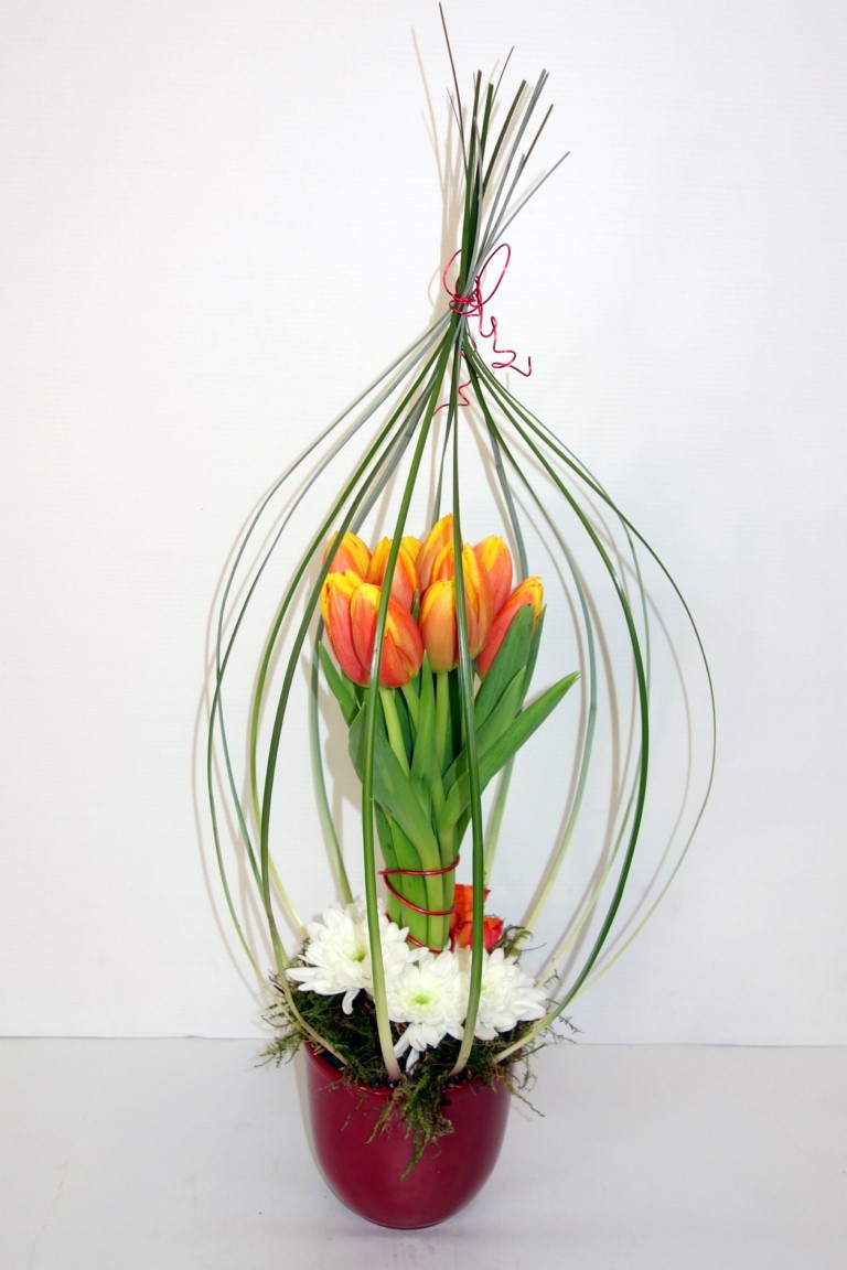 CAGE A TULIPES Composition Florale Livraison Toulouse Calypso Fleurs