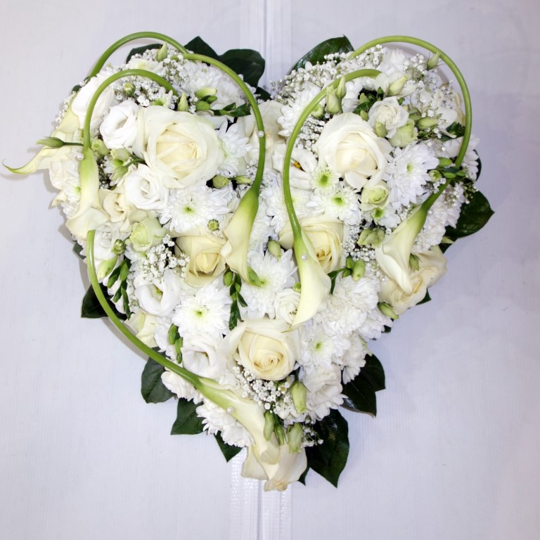 Descubra 48 kuva fleur blanche coeur rose Thptnganamst.edu.vn