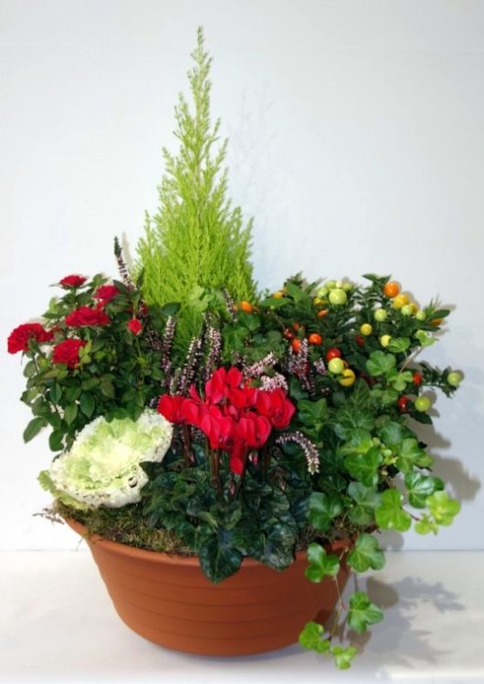 COUPE DE PLANTES DEUIL