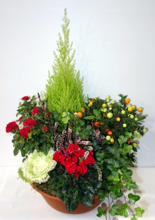 COUPE DE PLANTES DEUIL