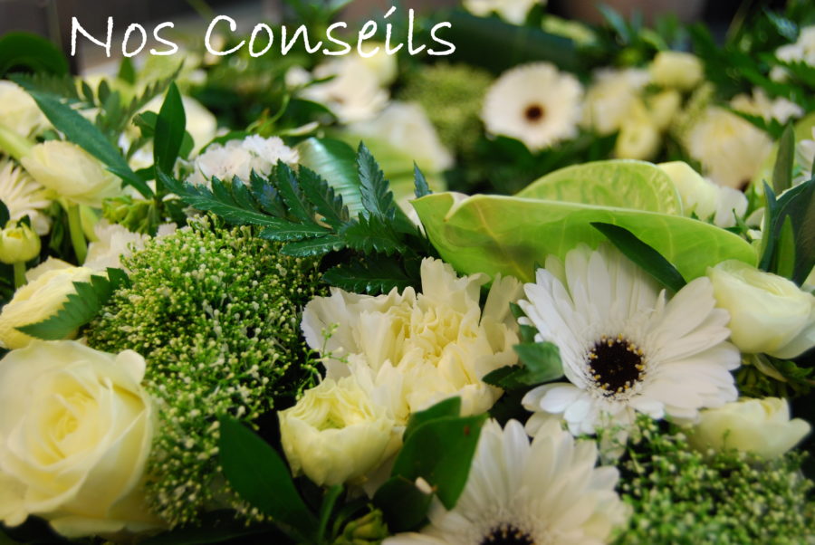 Nos conseils
