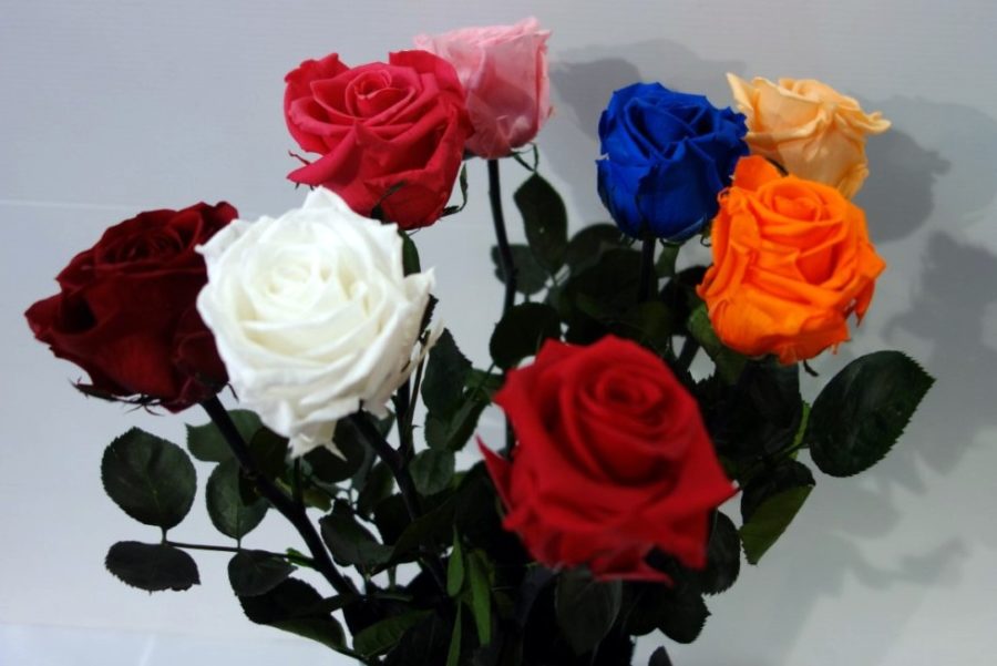 Prix D Une Rose à L Unité Fleuriste