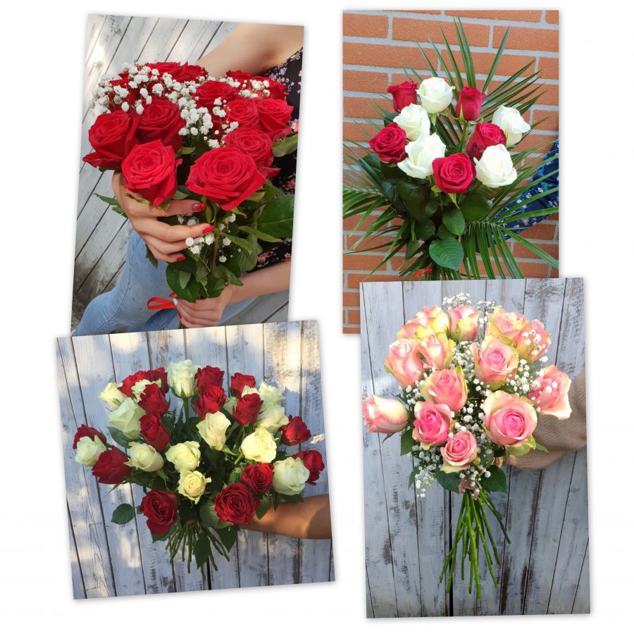 Promo roses