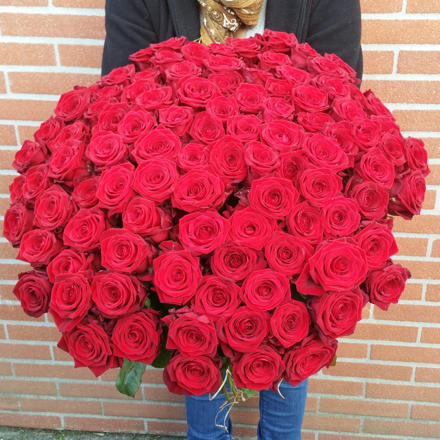 Bouquet de 101 GRANDES Roses Rouges Livraison Toulouse Bouquet de 101 GRANDES Roses Rouges Livraison Toulouse