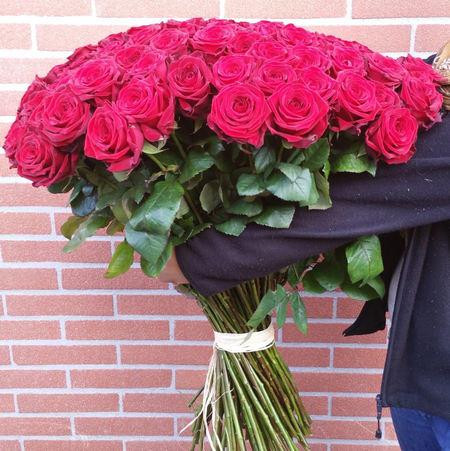 Bouquet de 101 GRANDES Roses Rouges Livraison Toulouse Bouquet de 101 GRANDES Roses Rouges Livraison Toulouse