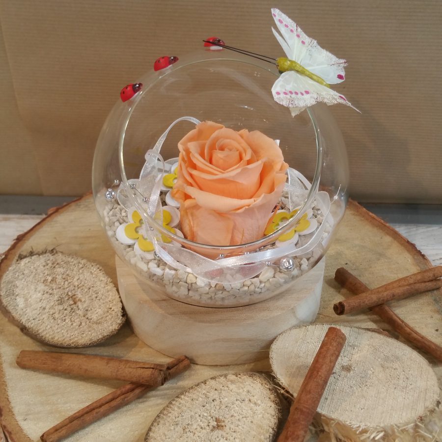 Rose Noire Durée 5 Ans Rose Éternelle MAMAMIKO Sous Cloche - Cadeau Romantique Noir 30cm Cadeau Saint Valentin