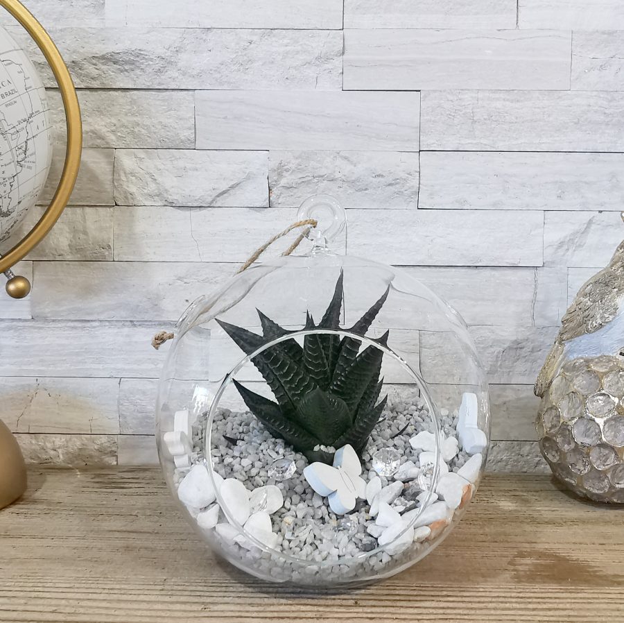 JADE TERRARIUM Livraison Toulouse Calypso Fleurs